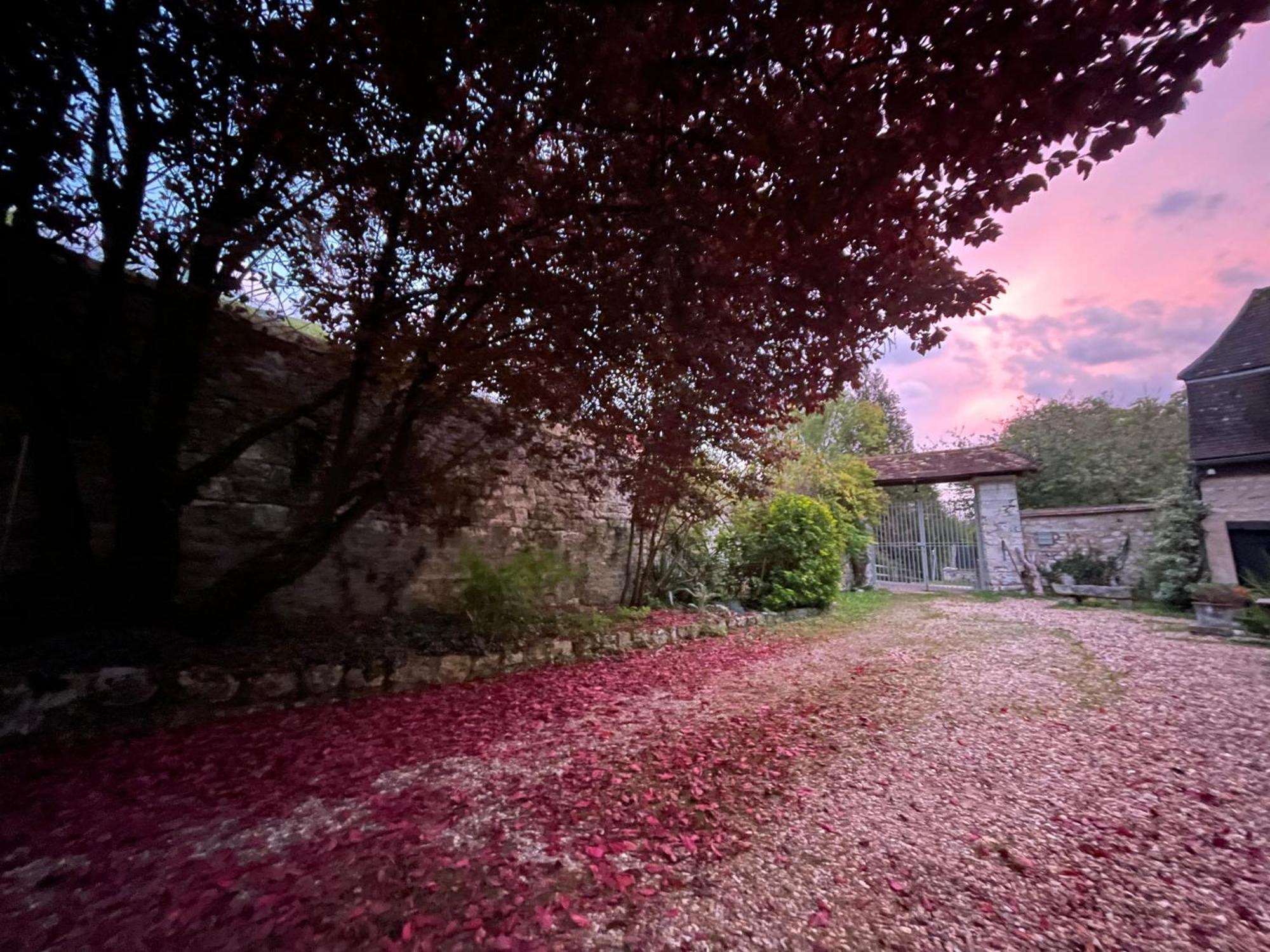 Bed & Breakfast Evergreen *